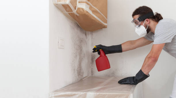 Professional Crawl Space Mold Removal technician working in Line Lexington, PA